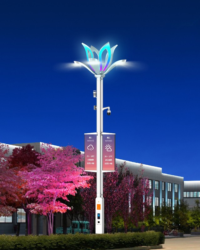 智慧路灯 CY-ZHZM-003